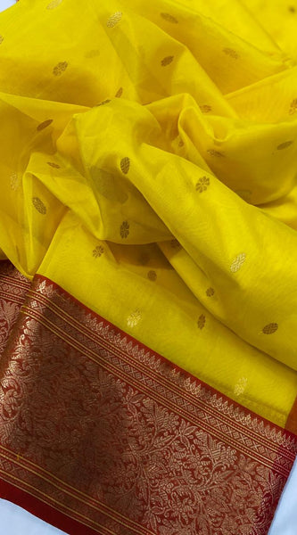 Chanderi Handloom Katan Organza Pure Silk Saree with Ghani Butti and Jakad Nakshi Border