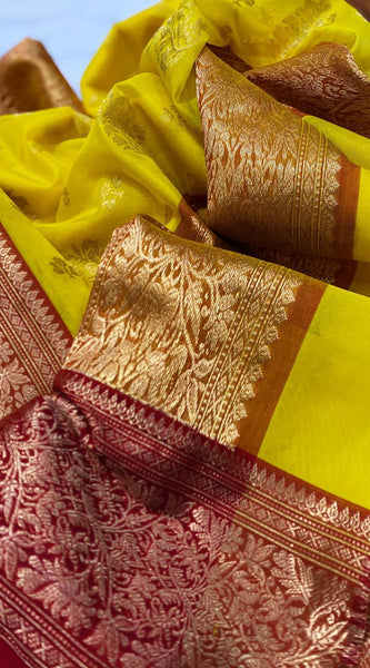 Chanderi Handloom Katan Organza Pure Silk Saree with Ghani Butti and Jakad Nakshi Border